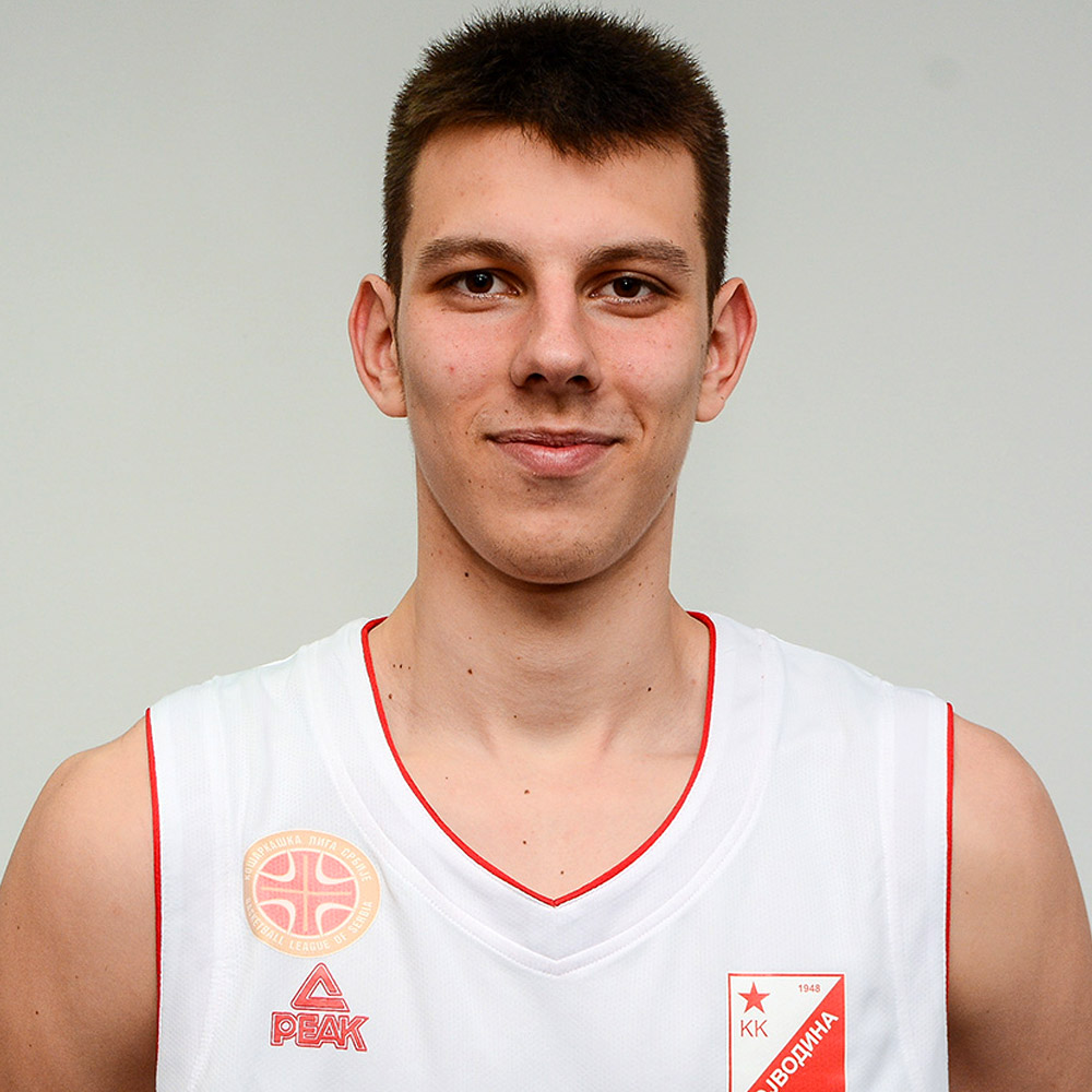 10_vukicevic_vuk