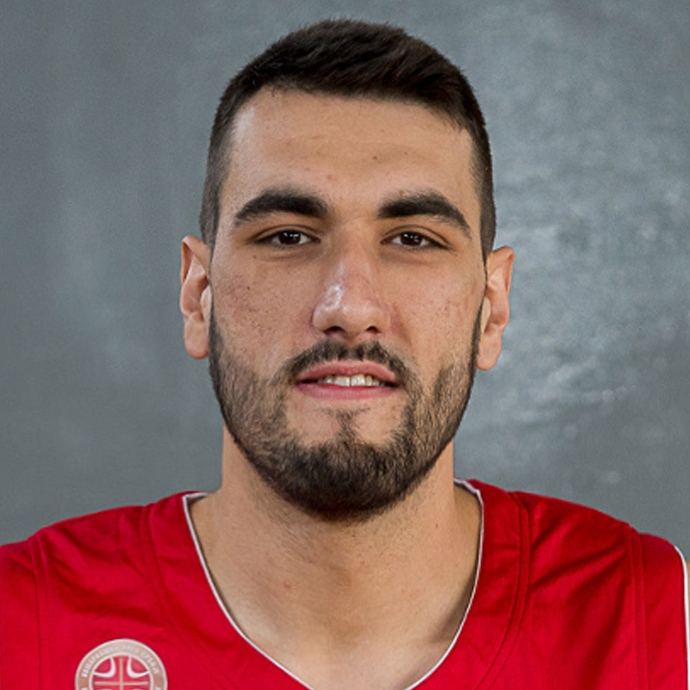 11_veljkovic_milenko