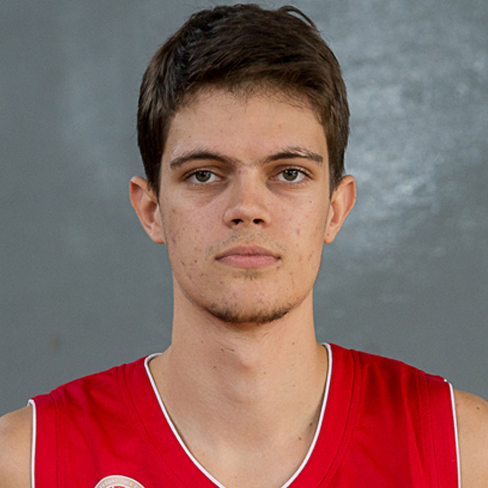 12_stefanovic_nikola