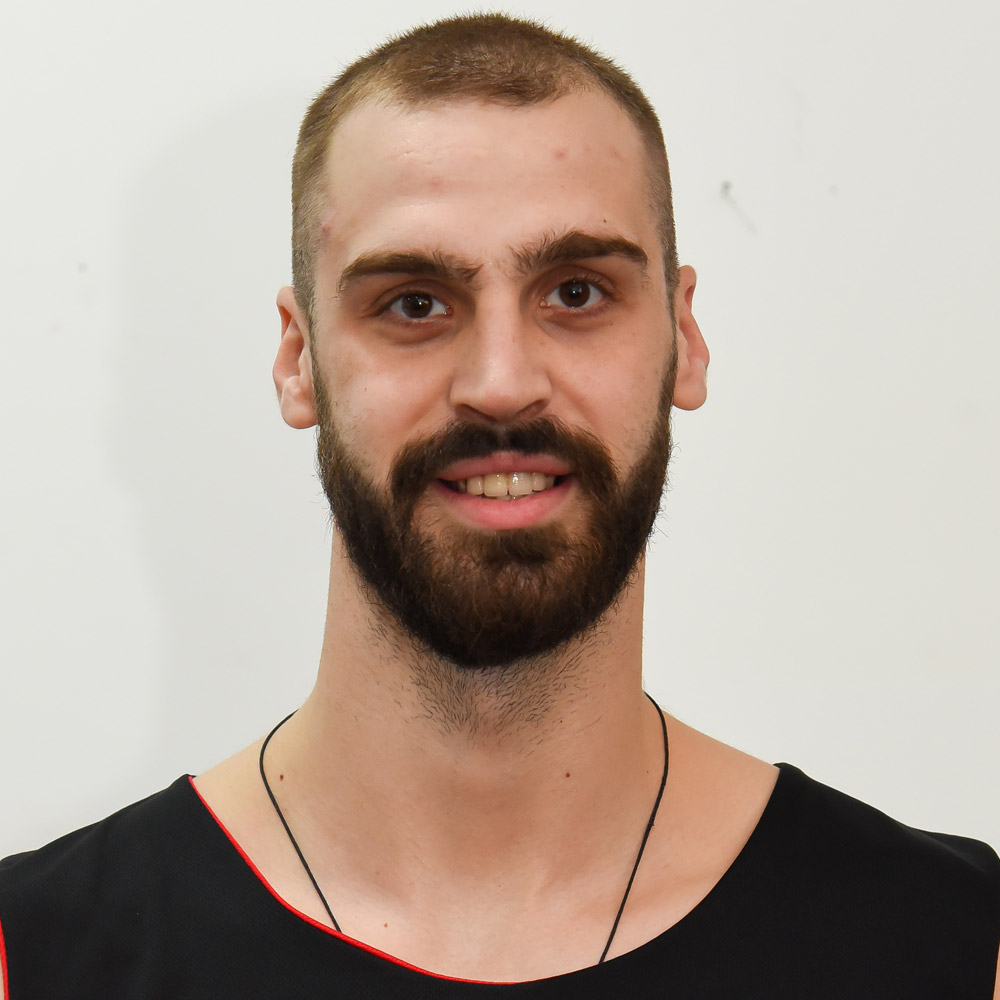 15_miladinovic_david