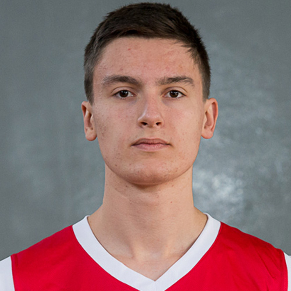17_ivkovic_david