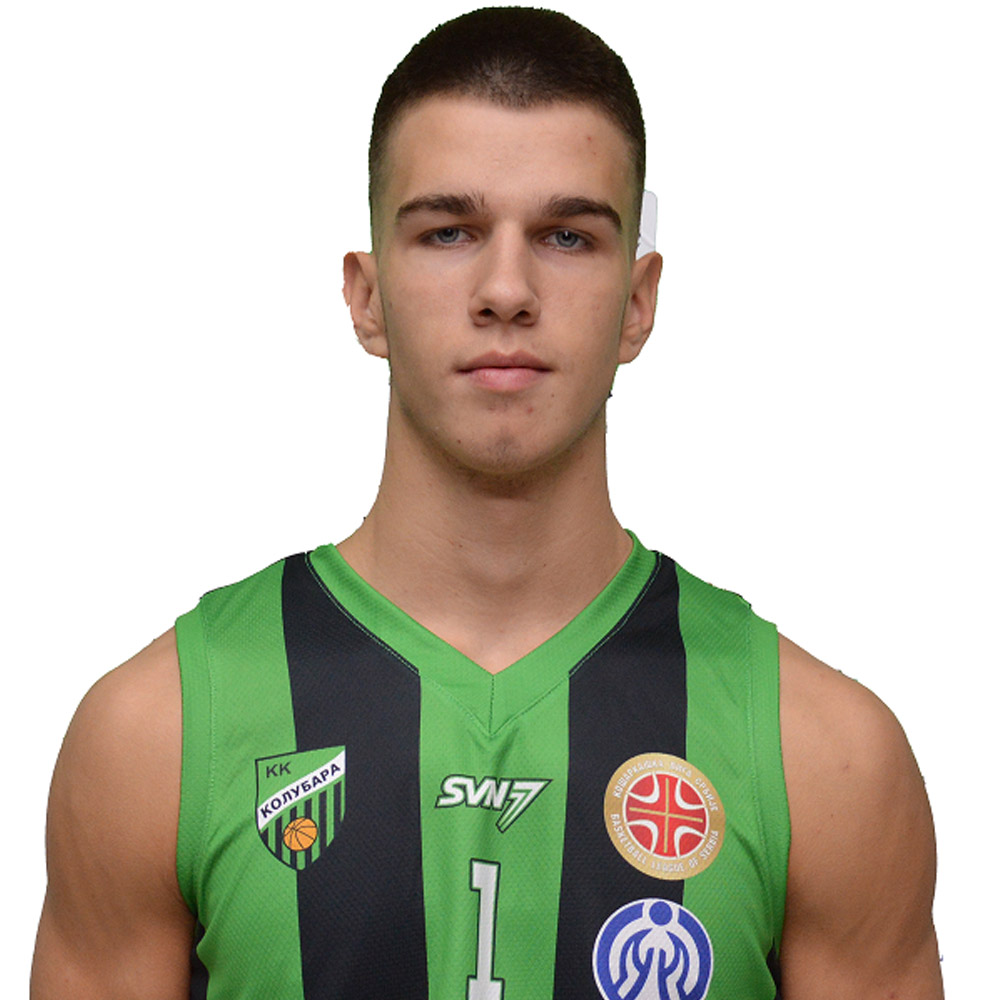 1_zivkovic_vojislav