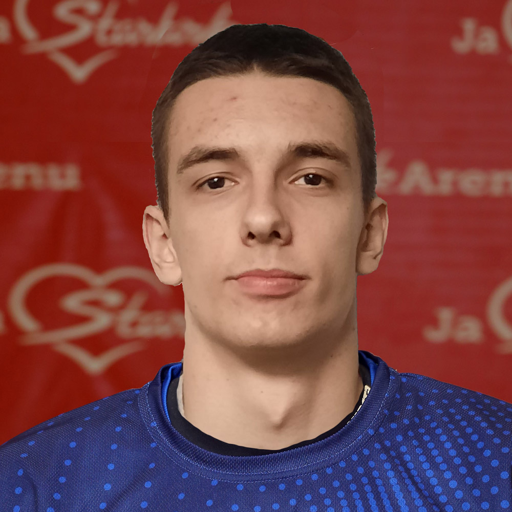 24_radovanovic_nikola