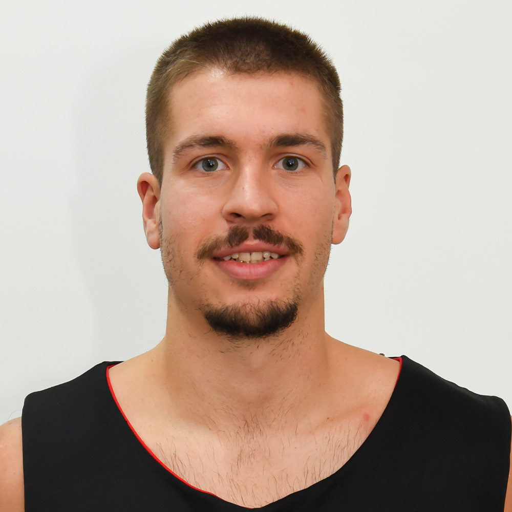 25_dimitrijevic_djordje