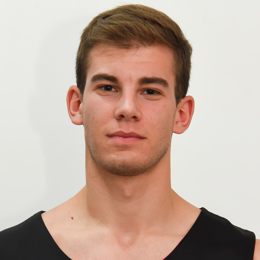 9_aksentijevic_luka