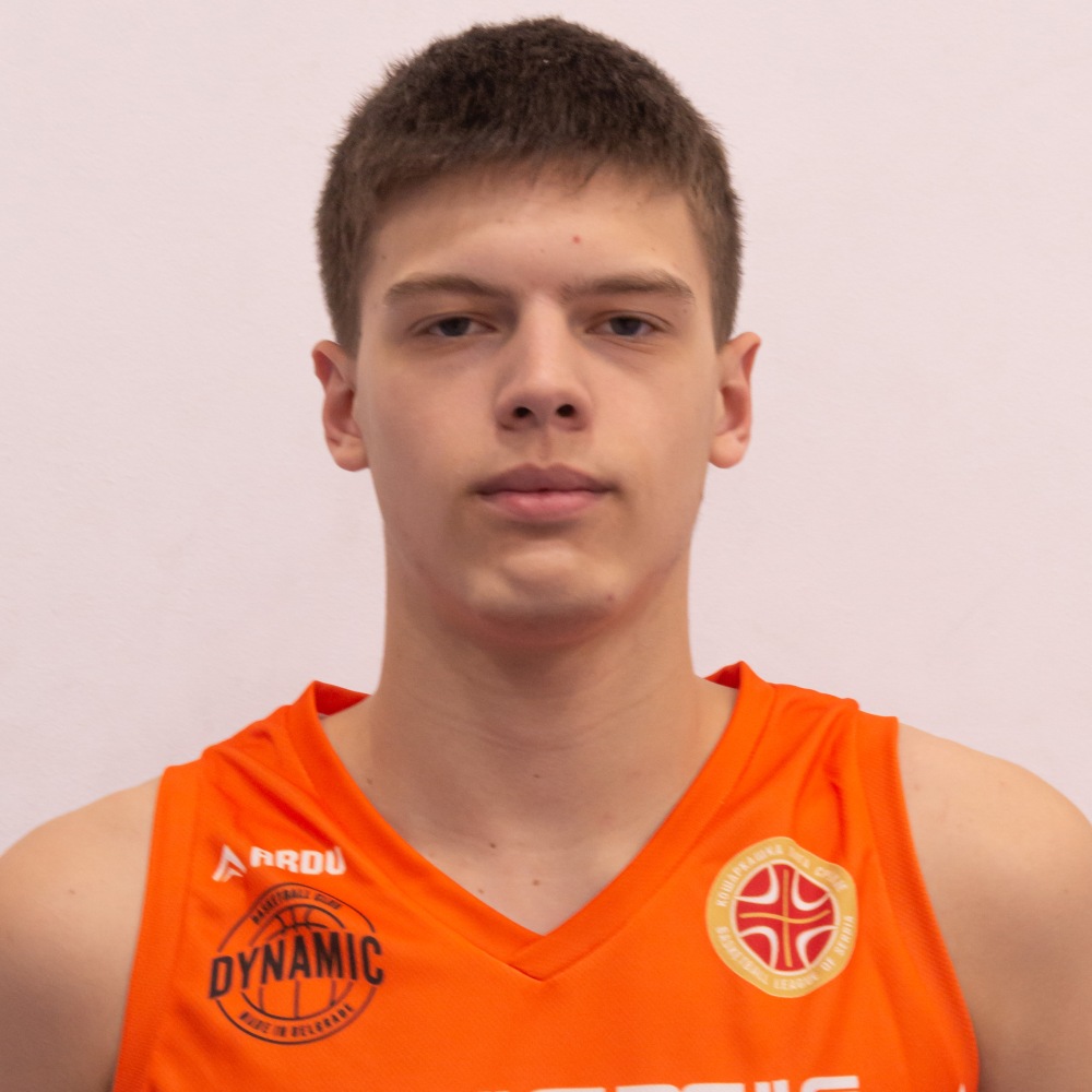 ristic_aleksa_dynamic