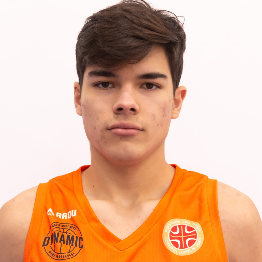 vukomanovic_petar_dynamic