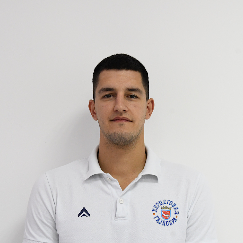 Službeni predstavnik – Dangubić Risto